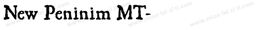 New Peninim MT字体转换
